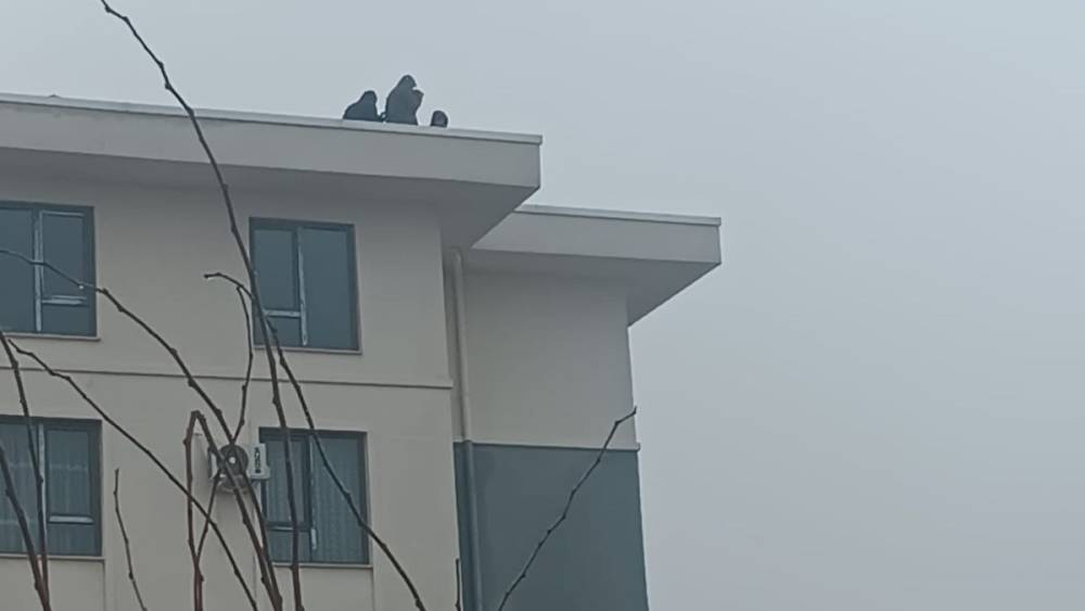 Adıyaman İndere TOKİ&rsquo;de maaş eylemi: İş&ccedil;iler &ccedil;atıya &ccedil;ıktı  - Videolu Haber